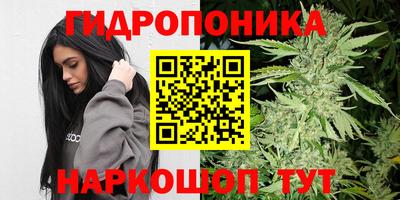 шишки Ирбит