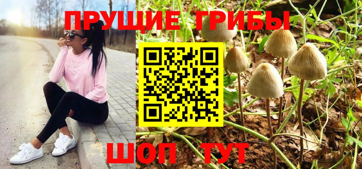 Псилоцибиновые грибы ЛСД Лесной